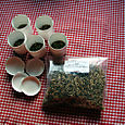 Seed sowing prep sept 2005