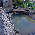 Edging pond with concrete