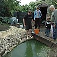 Chris getting in the pond