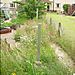 Posts in the Meadow in June