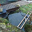 View of pond showing impact of new layout