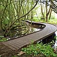 Walkway, Trap Grounds, Oxford City Council