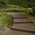 Dipping Platform, Perse School, Cambridge