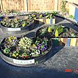 Grass Roof Company, Raised Beds, Horndon School