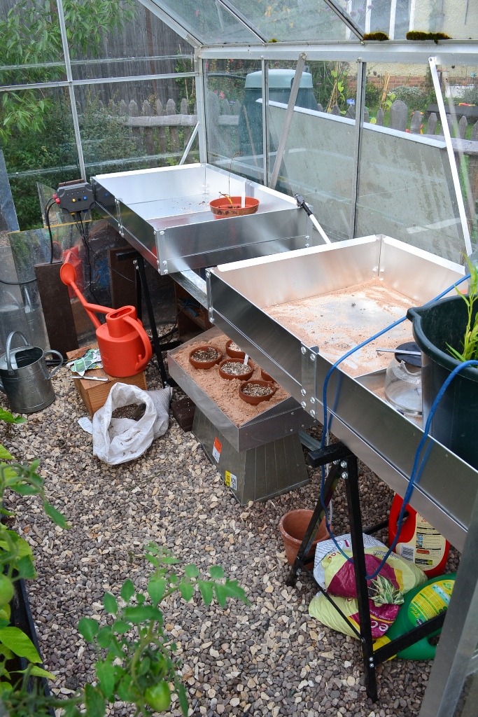 Inside Greenhouse