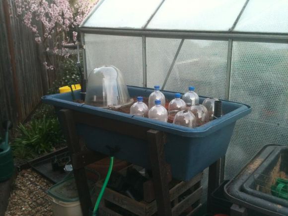 Wicking raised bed