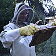 The Happy Beekeeper