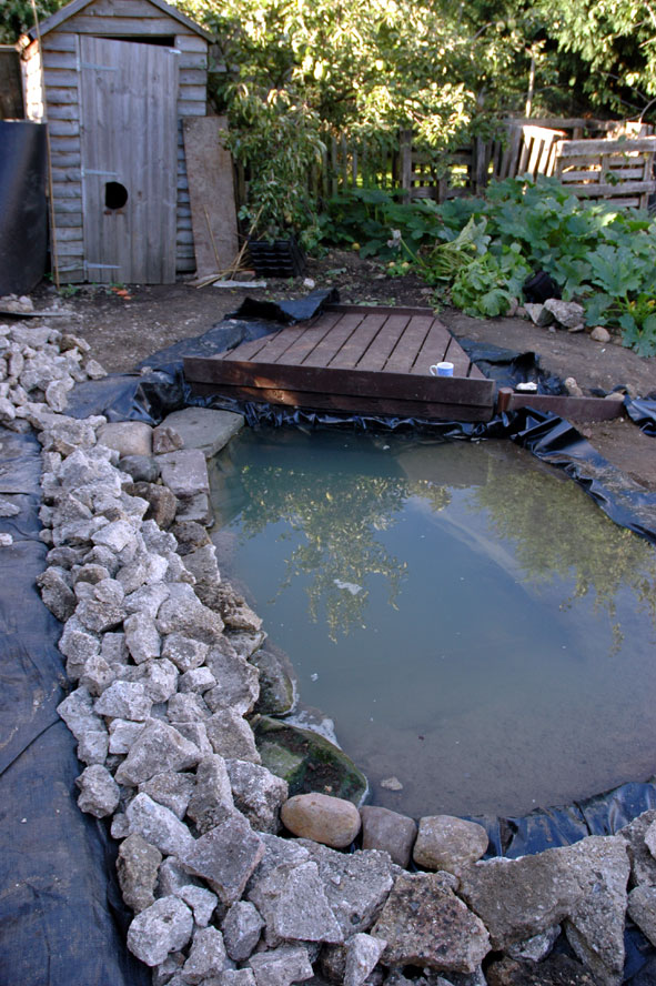 Edging pond with concrete