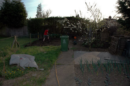 Stripping turf march 2005