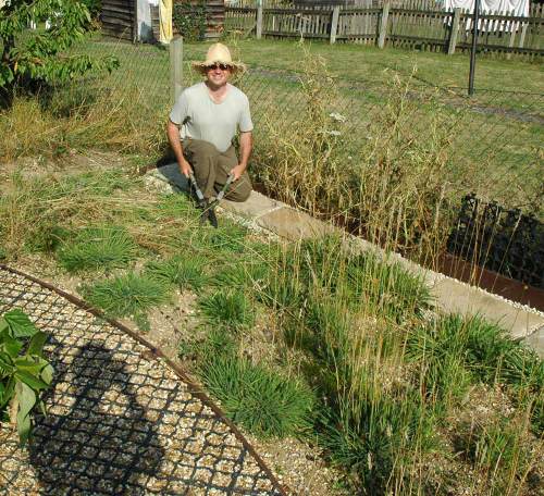 Cuttingthehay2