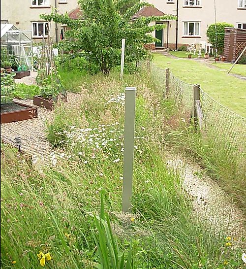 Posts in the Meadow in June