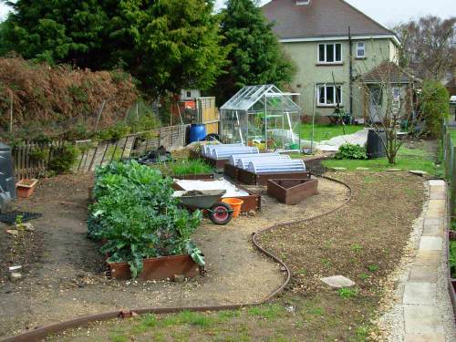 Vegetable beds april 06