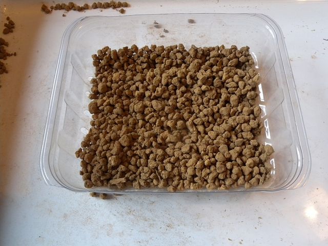 Cardboard seed sowing 2 - akadama granules