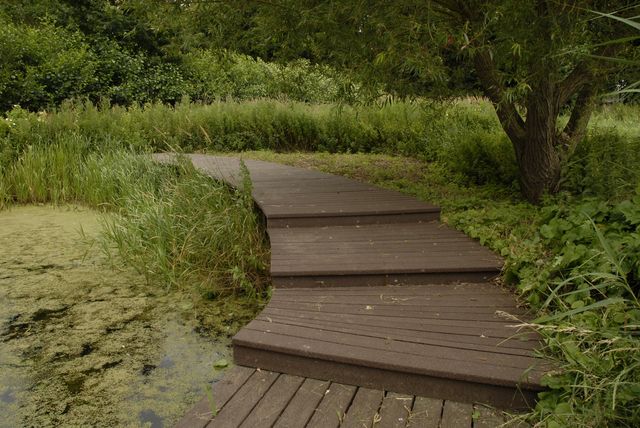 Dipping Platform, Perse School, Cambridge