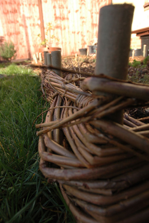 Willow raised bed