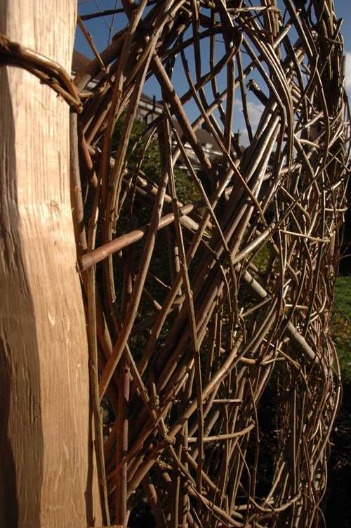 Willow screen close up